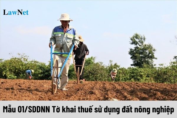 Mẫu 01/SDDNN Tờ khai thuế sử dụng đất nông nghiệp áp dụng cho tổ chức có đất chịu thuế đúng không?