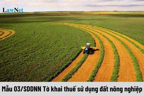 Sample 03/SDDNN Agricultural Land Use Tax Declaration for Which Land?