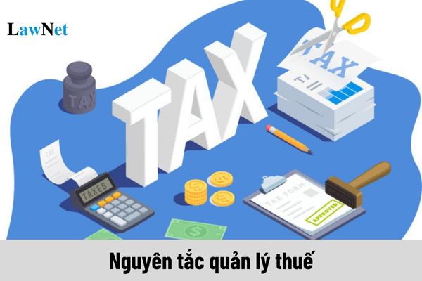 Nguyên tắc quản lý thuế là những nguyên tắc nào?