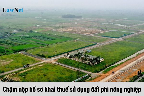 Chậm nộp hồ sơ khai thuế sử dụng đất phi nông nghiệp thì bị xử phạt như thế nào?