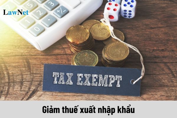 Nộp hồ sơ giảm thuế xuất nhập khẩu thông qua những hình thức nào?