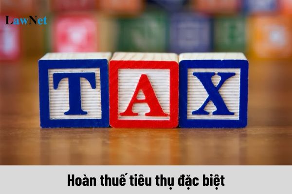 Mẫu đơn đề nghị hoàn thuế tiêu thụ đặc biệt áp dụng cho xăng sinh học mới nhất 2024?