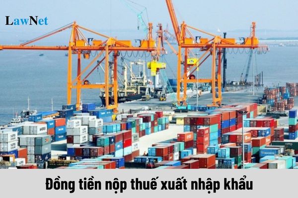 Đồng tiền nộp thuế xuất nhập khẩu là gì?