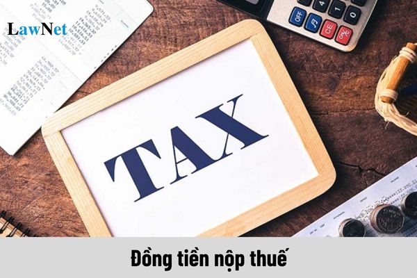 Đồng tiền nộp thuế là tiền gì? Nộp thuế bằng ngoại tệ tự do chuyển đổi trong trường hợp nào?