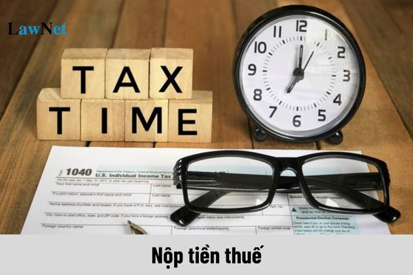 Nộp tiền thuế tại đâu? Xác định ngày nộp thuế điện tử như thế nào?