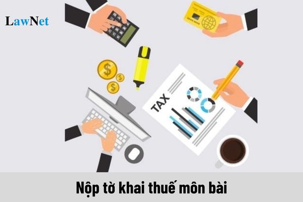 Khi nào phải nộp tờ khai thuế môn bài?