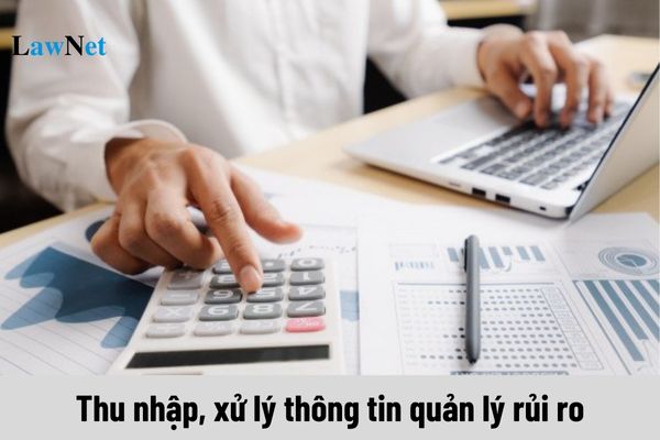 Quá trình thu nhập, xử lý thông tin áp dụng quản lý rủi ro về thuế được thực hiện thế nào?