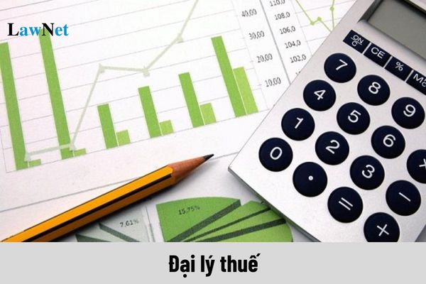 Đại lý thuế là gì? Việc công khai thông tin về đại lý thuế như thế nào?