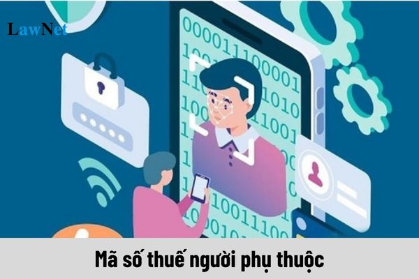 Mã số thuế người phụ thuộc là mã số thuế cá nhân đúng không?