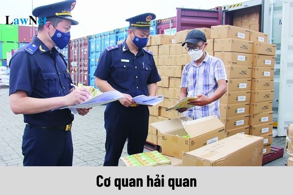 Cơ quan hải quan nào là cơ quan quản lý thuế?