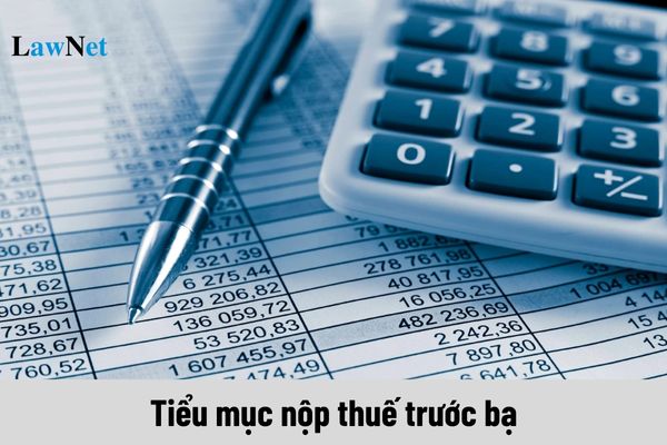 Tiểu mục nộp thuế trước bạ năm 2024 như thế nào?