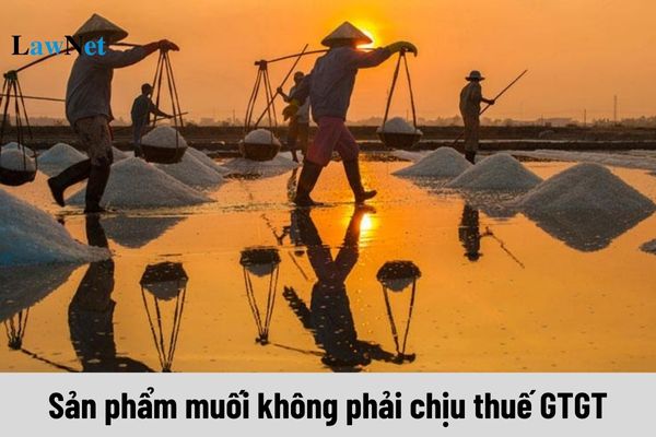 Không áp dụng thuế giá trị gia tăng đối với sản phẩm muối nào?