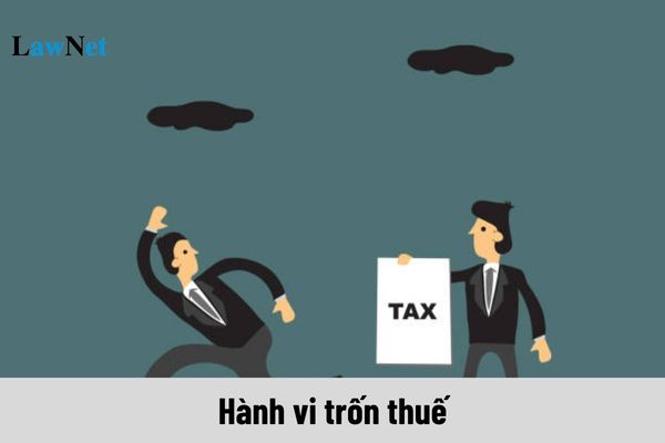 Không nộp hồ sơ đăng ký thuế sẽ không bị coi là hành vi trốn thuế trong trường hợp nào?