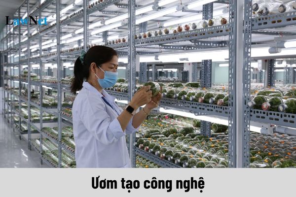 Miễn thuế nhập khẩu cho hàng hóa là máy móc thiết bị sử dụng cho phát triển hoạt động ươm tạo công nghệ không?