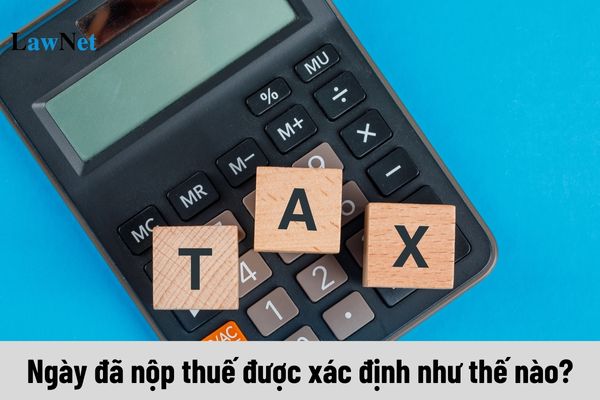 Ngày đã nộp thuế được xác định như thế nào?