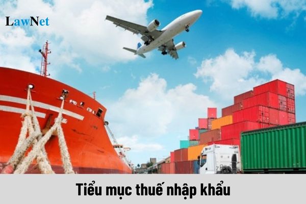 Tiểu mục thuế nhập khẩu năm 2024 như thế nào?