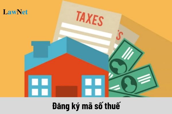 Đăng ký mã số thuế cho người phụ thuộc để làm gì?