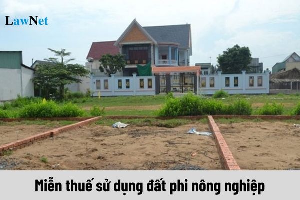 Miễn thuế sử dụng đất phi nông nghiệp đối với hộ gia đình, cá nhân khi đáp ứng điều kiện gì?