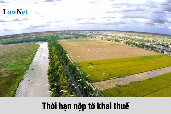 Thời hạn nộp tờ khai thuế sử dụng đất phi nông nghiệp là khi nào?