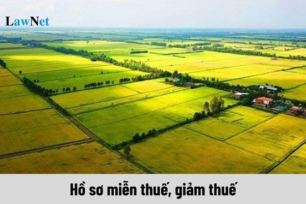 Hồ sơ miễn thuế, giảm thuế đối với người sử dụng đất nông nghiệp như thế nào?