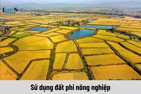 Hồ sơ miễn thuế, giảm thuế đối với người sử dụng đất phi nông nghiệp gồm những gì?