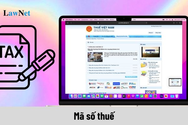 Mã số thuế được tiếp tục sử dụng sau khi khôi phục kể từ thời điểm nào?