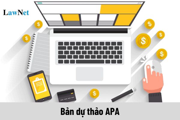 What should the final APA draft contain?