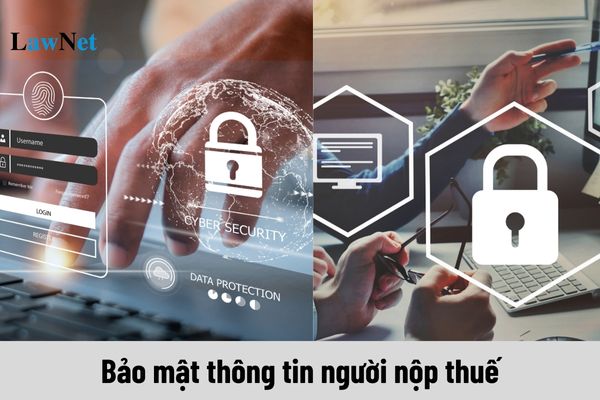 Bảo mật thông tin người nộp thuế như thế nào?