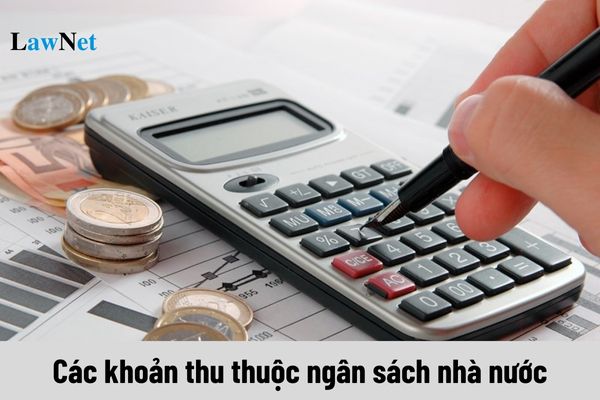 Cơ quan quản lý thuế không thu các khoản thu nào thuộc ngân sách nhà nước?