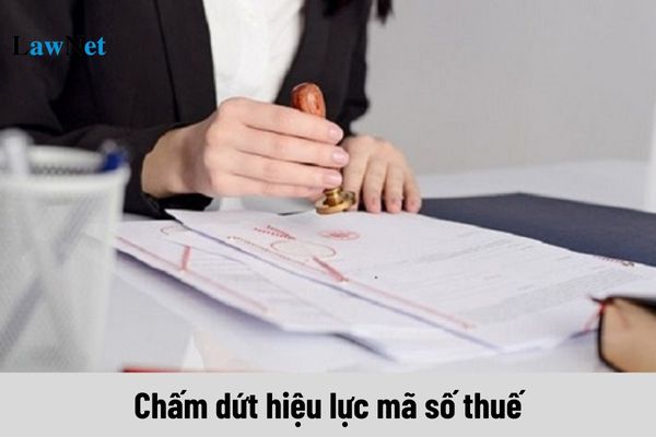 Nguyên tắc chấm dứt hiệu lực mã số thuế như thế nào?