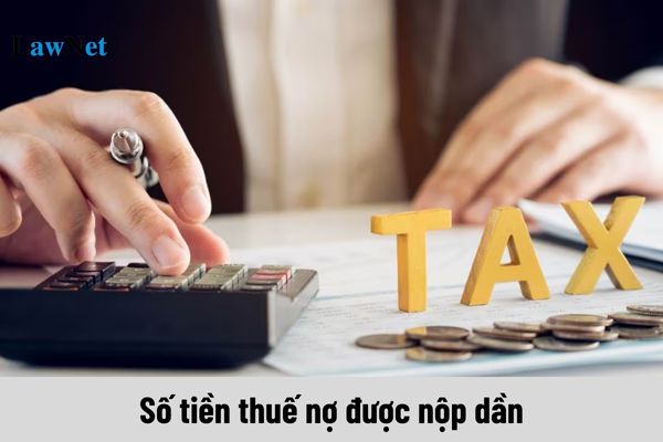 Số tiền thuế nợ được nộp dần được tính từ thời điểm nào?