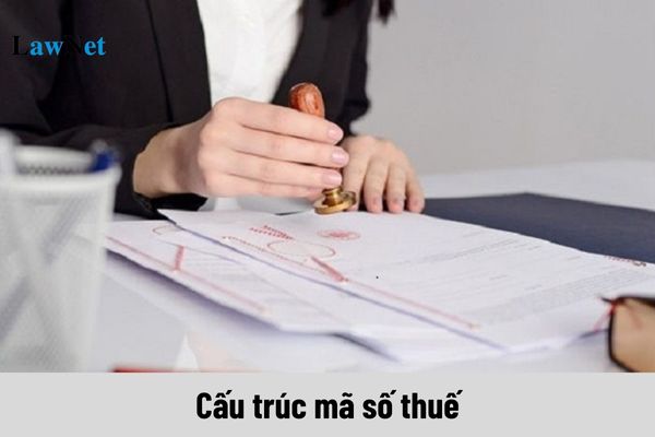 Cấu trúc mã số thuế gồm bao nhiêu loại?