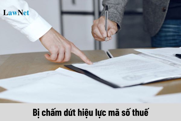 Chấm dứt hoạt động thì doanh nghiệp có bị chấm dứt hiệu lực mã số thuế không?