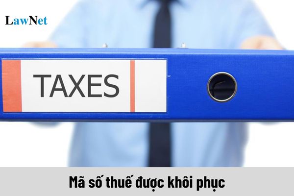 Mã số thuế được khôi phục sẽ tiếp tục sử dụng kể từ khi nào?