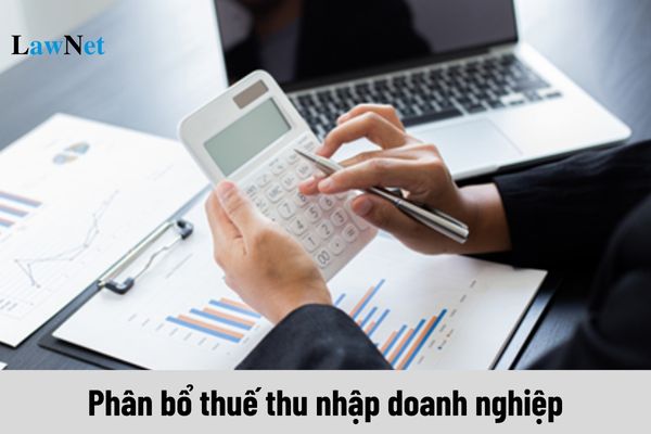 Có những phương thức phân bổ thuế thu nhập doanh nghiệp nào?