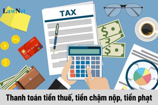 Thứ tự thanh toán tiền thuế, tiền chậm nộp, tiền phạt như thế nào?