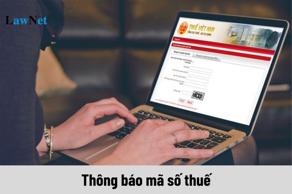 Cơ quan thuế có phải thông báo mã số thuế đến cho từng cá nhân không?