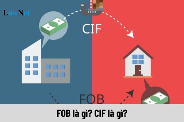 FOB là gì? CIF là gì? Cách tính thuế xuất nhập khẩu theo giá FOB?