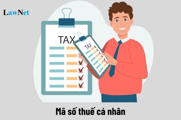 Mỗi cá nhân được sử dụng tối đa bao nhiêu mã số thuế?