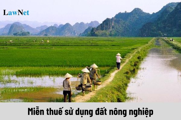 Tiếp tục thực hiện miễn thuế sử dụng đất nông nghiệp đến hết năm bao nhiêu?