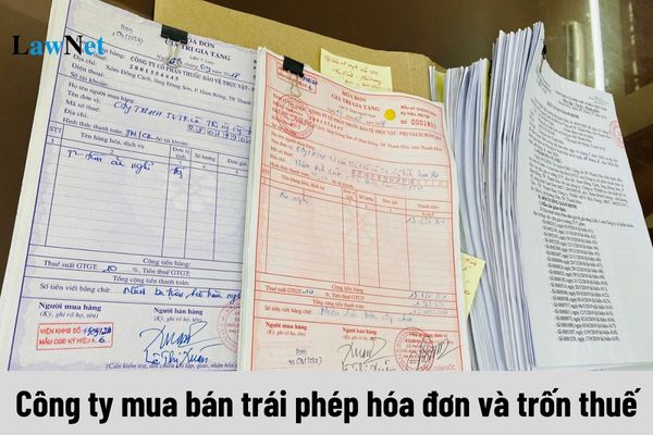 Danh sách 66 công ty mua bán trái phép hóa đơn và trốn thuế mới nhất do Cục thuế Thái Bình công bố?