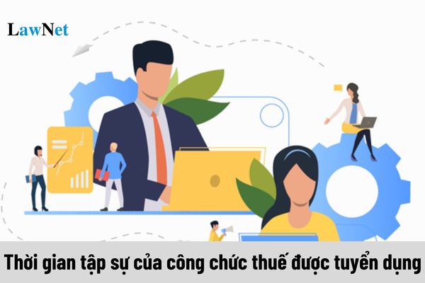 Công chức thuế được tuyển dụng phải tập sự trong thời gian bao lâu?