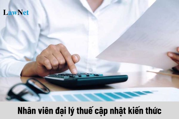 Nhân viên đại lý thuế phải tham dự cập nhật kiến thức bao lâu một lần?