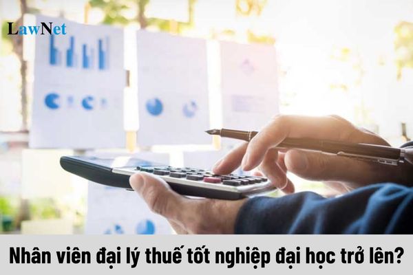 Nhân viên đại lý thuế có bắt buộc tốt nghiệp đại học trở lên không?