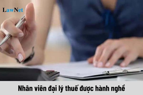 Thời điểm nhân viên đại lý thuế được hành nghề là khi nào?