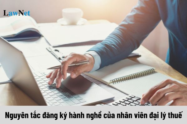 Nguyên tắc đăng ký hành nghề của nhân viên đại lý thuế là gì?