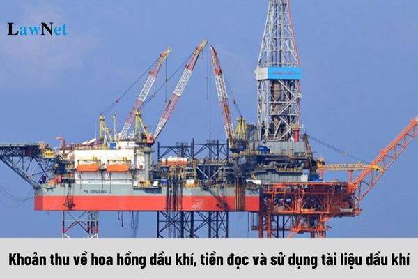 Mẫu 01/TNS-DK Tờ khai các khoản thu về hoa hồng dầu khí, tiền đọc và sử dụng tài liệu dầu khí ra sao?