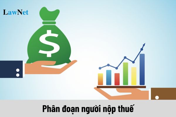 Tổng cục Thuế hướng dẫn phân đoạn người nộp thuế theo Quyết định 18/QĐ-TCT?