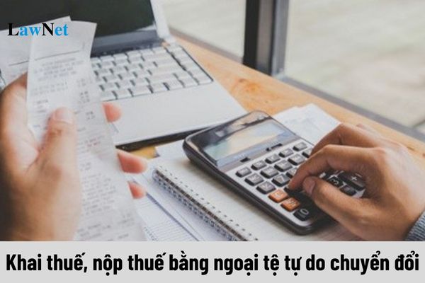 Khi nào thực hiện khai thuế, nộp thuế bằng ngoại tệ tự do chuyển đổi? 