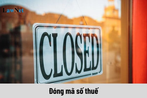 Khi nào doanh nghiệp tư nhân bị đóng mã số thuế?